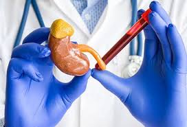 Having cucumber can help kidney patients to remain hydrated, it can also help to lower high blood sugar. High Low Normal Creatinine Levels What This Blood Test Means