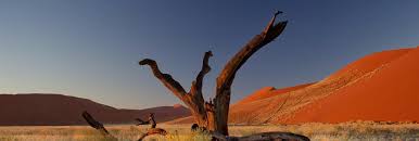 See more ideas about landscape, out of africa, africa. 10 Days South Africa Desert Safari Africa Zim Travel Tours