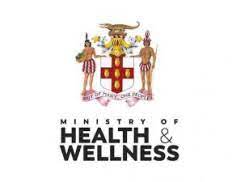 Human resources for health (hrh) country profile. Ministry Of Health And Wellness Jamaica Government Body From Jamaica Health Sector Developmentaid