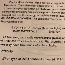 Maybe you would like to learn more about one of these? What Type Of Cells Contains Chloroplasts Brainly Com