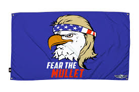Flag Eagle Mullet V bucks are the official game currency of fortnite, and if you have some of them in your account, then you are lucky, that you can purchase all the goodies which are available in the game.