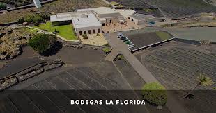 Lanzarote's long history of viniculture has resulted in a rich diversity of bodegas, with over twenty still producing wine on the island. Bodegas La Florida Canarias Convida