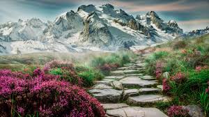Also for mobile and tablet. Spring Scenery Wallpaper 5184x2916 Download Hd Wallpaper Wallpapertip