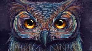Pngkit selects 785 hd owl png images for free download. 28 Owls Background On Wallpapersafari