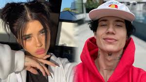 The pair were seen promoting their upcoming fight earlier this month when the event took a chaotic turn. Good Week Bad Week Bryce Hall Brawls With Austin Mcbroom D Amelios Release Reality Show Trailer Dexerto