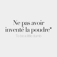 Ne Pas Avoir Invente La Poudre To Be A Little Dumb Lit To Not Have Invented Gunpowder Apprendre L Anglais Vocabulaire Francais Apprendre Le Francais Parler