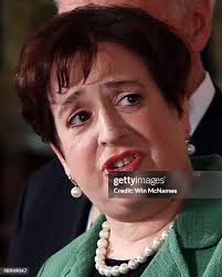 2,341 Paul Mcnamee Photos & High Res Pictures