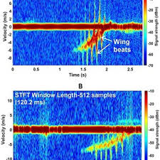 This evolution means the introduction of different bands and symbols, like the ka band. Pdf Radar Micro Doppler Signatures Of Drones And Birds At K Band And W Band
