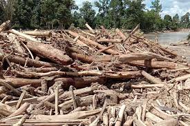 Kedua negara melihat kesempatan yang mirip dan meningkatkan putaran dengan adanya subsidi dari pemerintah di jalanan dan fasilitas pengolahan dan pinjaman ringan. Walhi Banjir Bandang Di Luwu Utara Disebabkan Pengalihan Fungsi Hutan Halaman All Kompas Com