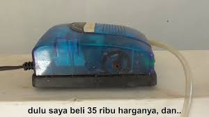 Harga aquarium bulat toples berkapasitas 1,5 liter air. Salah Kaprah Soal Aerator Akuarium Penghasil Gelembung Udara Youtube