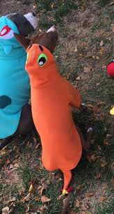 Charmander From Pokemon Pet Dog Costumes Sizes Xs To Xl Dog Costumes Dog Pokemon Pokemon