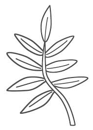 They are able to play games in the. Palm Branch Coloring Page Coloring Home