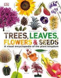 Последние твиты от flowers by brian (@flowersbybrian). Trees Leaves Flowers Seeds A Visual Encyclopedia Of The Plant Kingdom Nhbs Bookstore