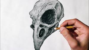 Quick view replica wolf skull. Animal Skull Drawing Time Lapse Youtube