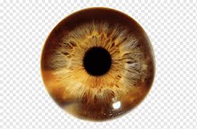 As always, my step by step coloring tutorials can be used with any alcohol marker or colored pencil. Eye Png Images Pngwing