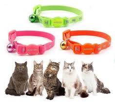 Bird Safe Cat Collar Pattern Adult Cat Safety Hi Vis High Visibility Reflective Collar Safety Buckle Bell Ancol Cat Safety Cat Collars Reflective Collars