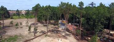 Doch seit jahren herrscht leerstand mit verheerenden folgen: Der Park Der Barfusspark Beelitz Heilstatten