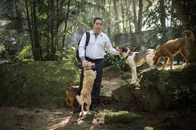 In 1996, he founded his own law firm, which concentrated on first amen. Inside Glenn Greenwald S Mountaintop Home Office The New York Times