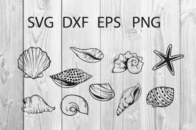 Svg is an image format for vector graphics. Seashell Cut File Svg Graphic By Dadan Pm Creative Fabrica