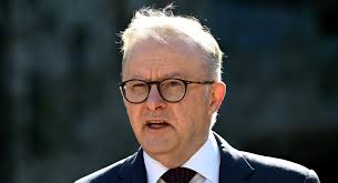 Anthony Albanese's double dissolution talk an 'empty threat'