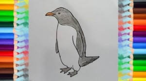 How To Draw A Penguin Step By Step Easy Bird Drawing On this channel you will find easy drawing tutorials for beginners and also for kids. how to draw a penguin step by step