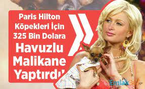 paris hilton kopekleri icin 325 bin dolara havuzlu malikane yaptirdi