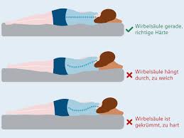 In einer schlechten schlaflage, versucht die tiefe rückenmuskulatur den körper in seiner natürlichen position zu halten. Hochwertige Matratzen Gunstig Bestellen Lidl De