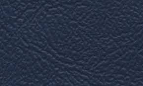 Image result for Dark Blue 1992 Sonoma