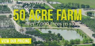Our nursery is open to both the general public and contractors and different price tiers based on volume. Treeland Nursery Dallas Texas 50 Acre Tree Farm In North Texas