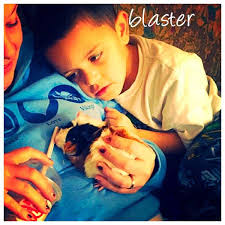 ️Holly corbin (@holly_corbin)