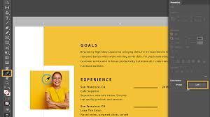 professional resume adobe indesign