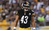 Troy Polamalu Highlights