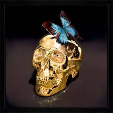 Check spelling or type a new query. Butterfly Kiss By Rory Hancock Whitewall Galleries