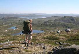 With considerable biodiversity, this area is a meeting point for species from the north, south, east and west. Hardangervidda National Park National Parks Vinje Norway