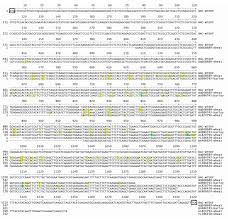 The oberlo slogan generator is a free online tool for making slogans. Structural And Transcriptional Analysis Of Plant Genes Encoding The Bifunctional Lysine Ketoglutarate Reductase Saccharopine Dehydrogenase Enzyme Bmc Plant Biology Full Text