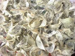 Air liur burung walet atau biasanya disebut sarang. Sarang Burung Walit Kualiti Tinggi Boleh Cecah Rm66 000 Sekilo Semasa Mstar