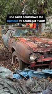 Image result for Bahama Yellow 1970 Motor Home