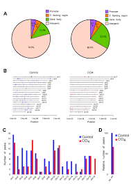 Dna Methylation Profile Of The Liver Genome A Pie Chart