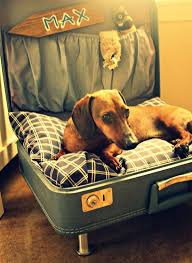 45 Cool And Modern Diy Dog Bed Ideas Home Design And Interior Diy Dog Bed Diy Dog Stuff Cool Dog Beds