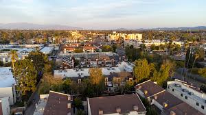 Image result for Reseda