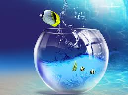 See more ideas about computer desktop backgrounds, computer desktop, aesthetic wallpapers. Top 10 Hd Wallpapers For Pc Group 71