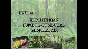 Dari segi mikro, masyarakat tidak perlu berbelanja lebih sekiranya mereka mengitar semula barangan keperluan seperti pakaian dan buku. Kepentingan Tumbuh Tumbuhan Semula Jadi Youtube