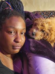 Lost puppy in 3 sisters area found