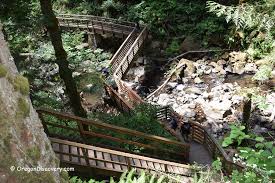 Maybe you would like to learn more about one of these? Mcdowell Creek Falls County Park Hiking Willamette Valley Oregon Discovery