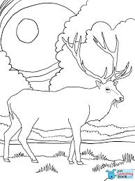 Rocky Mountain Elk Coloring Page Free Printable Coloring Pages Throughout Roosevelt Elk Colorin Deer Coloring Pages Online Coloring Pages Free Online Coloring