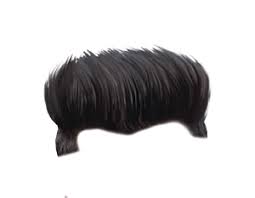 200 Hair Png Zip File With Images Hair Png Photoshop Backgrounds Free Photoshop Hair