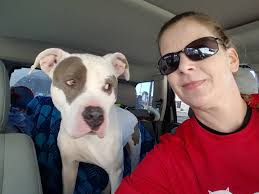 Gilligan's big stick: a trail hazard to others