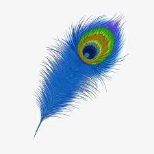 Ornate Blue Peacock Feather Feather Clipart Tail Feather Mane Png Transparent Clipart Image And Psd File For Free Download Feather Wallpaper Peacock Images Peacock Feather