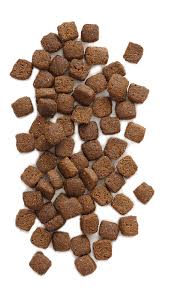 Primitive Natural Grain Free Holistic Dog Food Recipes