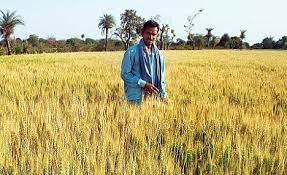 While it does not claim the highest peaks in the range, there is plenty to do aside from mountaineering. Madhya Pradesh Is India S New Grain Bowl As Food Production Jumps By 19 Daily Mail Online